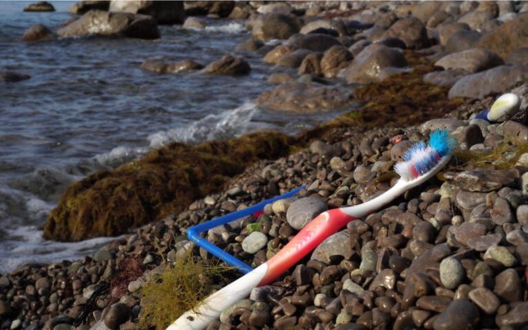 Discarded Toothbrush on the beach